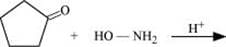 NCERT Solutions Class 12 Chemistry Chapter 8 - Aldehydes, Ketones & Carboxylic Acids